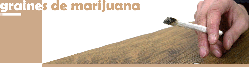 vente de marijuana